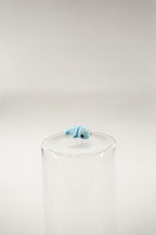 Narwhal wigget