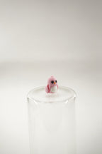 Pink love bird wigget