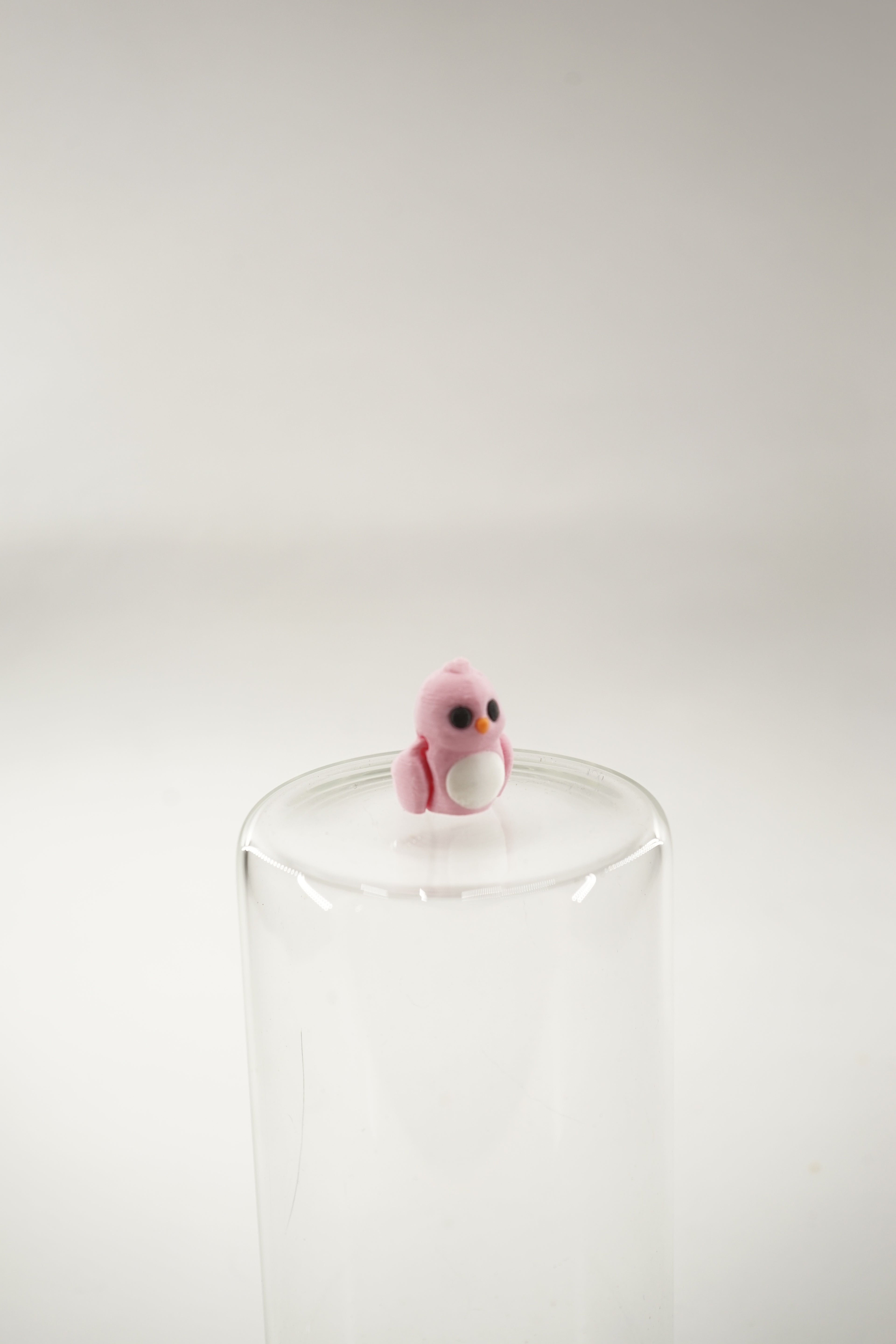 Pink love bird wigget