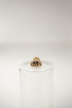 Spider wigget